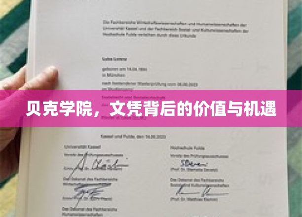 贝克学院，文凭背后的价值与机遇