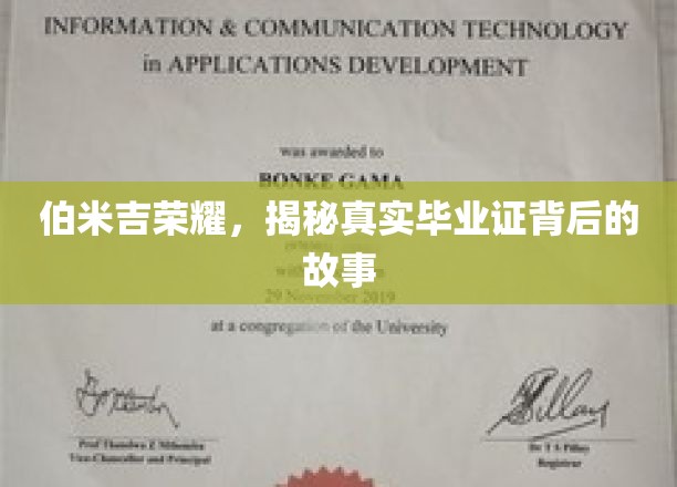 伯米吉传奇，毕业证书背后的不凡征程