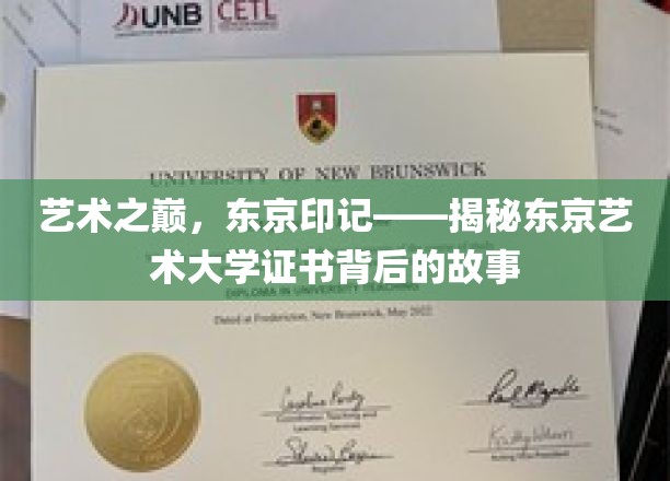 艺术之巅，东京印记——揭秘东京艺术大学证书背后的故事