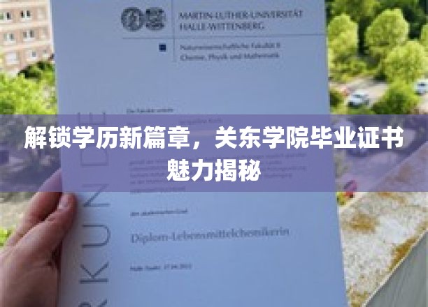 学历新境界，关东学院证书背后的非凡魅力大揭秘