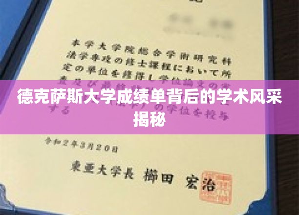 德克萨斯大学，揭开成绩单背后的学术魅力面纱