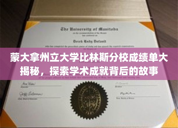 蒙大拿州立大学比林斯分校，揭开学术卓越背后的精彩篇章