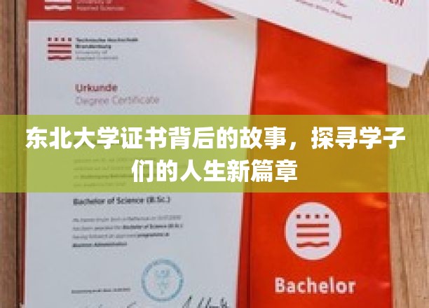 东北大学证书背后的故事，探寻学子们的人生新篇章
