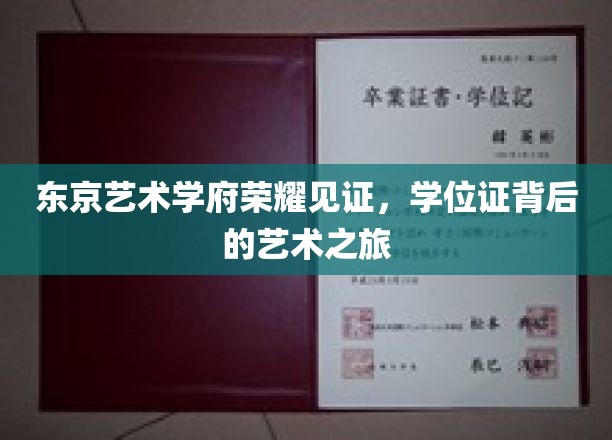 艺术殿堂之光，东京学府学位证背后的璀璨艺术征程
