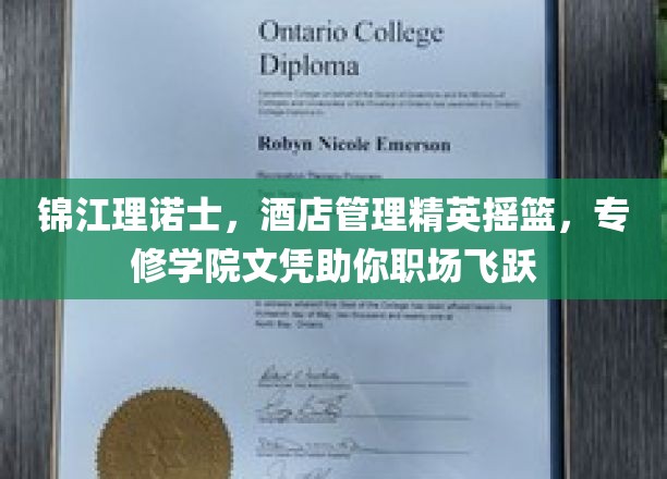 酒店管理精英梦工厂，锦江理诺士专修文凭助力职场腾飞