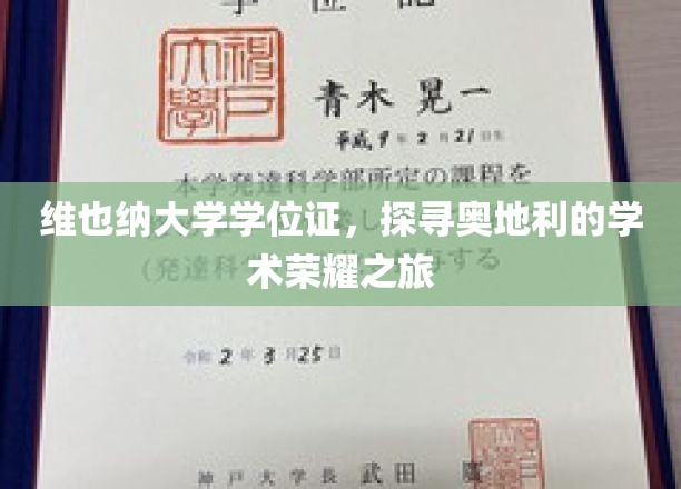 解锁维也纳大学荣耀，一场穿越奥地利学术巅峰的探索之旅