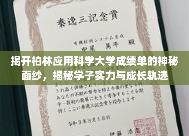 解码柏林应用科学大学，学子实力与成长轨迹全解析