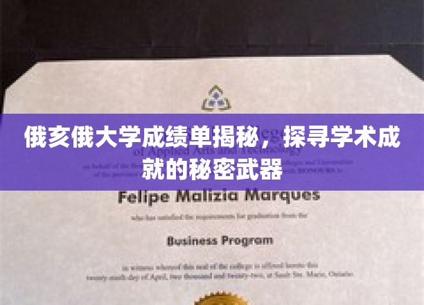 解码俄亥俄大学高分秘诀，揭秘学霸背后的学术利器