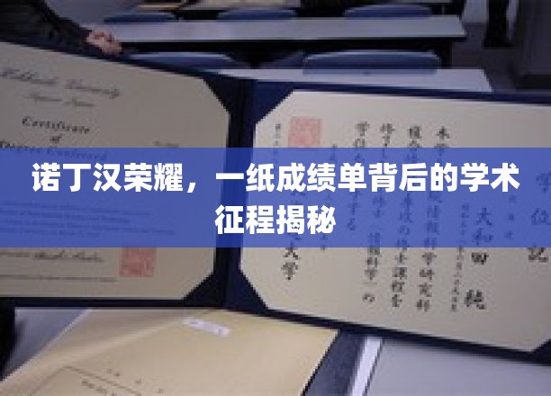 诺丁汉传奇，揭秘成绩单背后的学术巅峰之旅