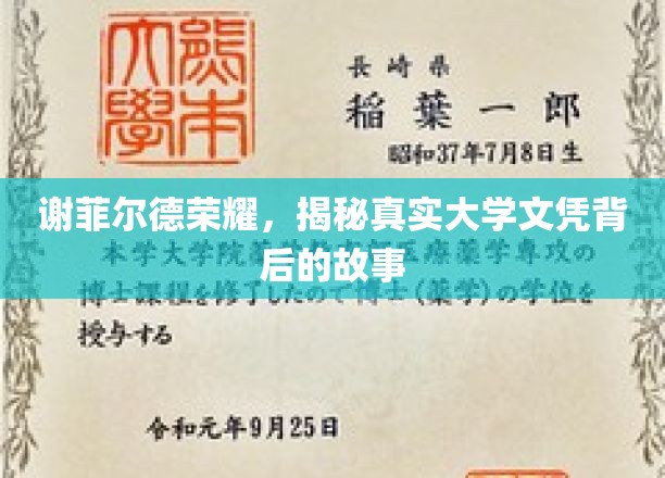 谢菲尔德荣耀，揭秘文凭背后不为人知的大学传奇