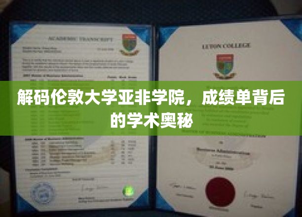 揭秘伦敦亚非学院，揭开优秀成绩单背后的学术秘密