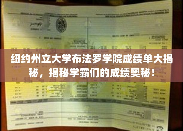 揭秘纽约州立大学布法罗学院学霸成绩背后的秘密！