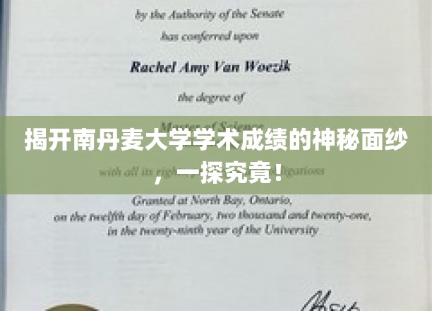 揭开南丹麦大学学术成绩的神秘面纱，一探究竟！