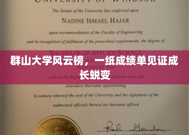 群山大学风云录，成绩单见证学子蜕变之路