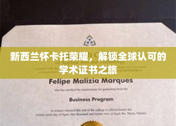 怀卡托荣耀启程，全球通行学术证书的非凡征程