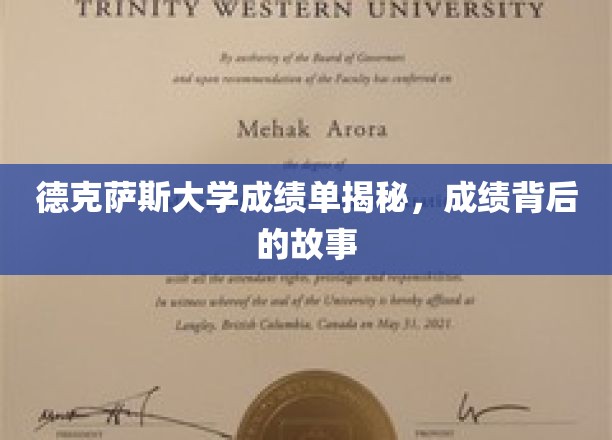 德克萨斯大学成绩单揭秘，成绩背后的故事