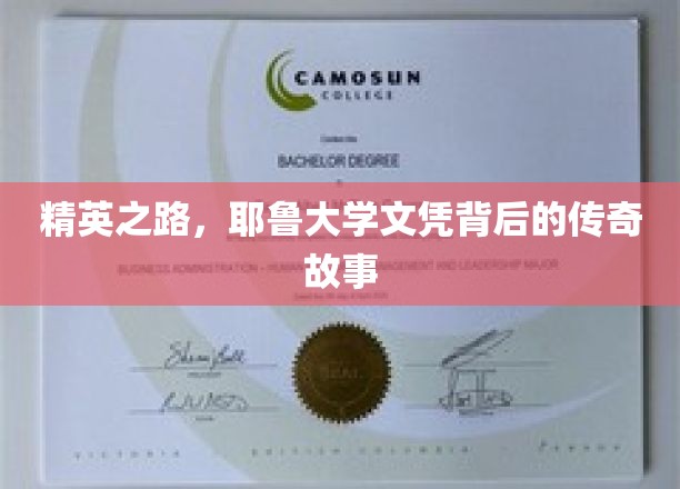 耶鲁精英养成记，探寻名校文凭背后的非凡历程