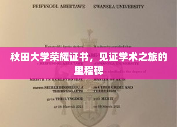 秋田大学荣耀见证，成就非凡学术旅程的里程碑证书盛典
