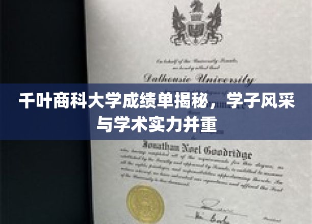 千叶商科大学学子双优，成绩单背后的学术风采
