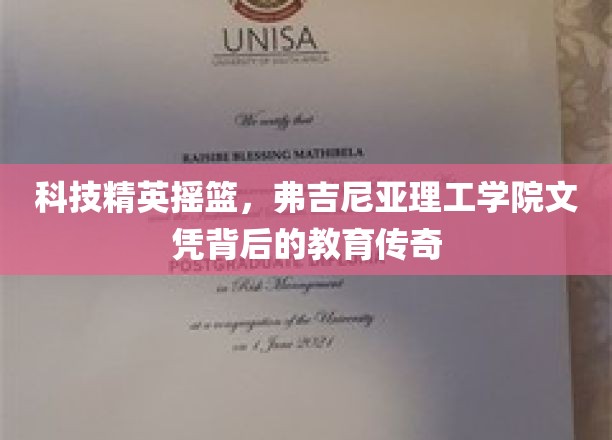 解码弗吉尼亚理工学院，科技精英的摇篮与卓越教育之旅