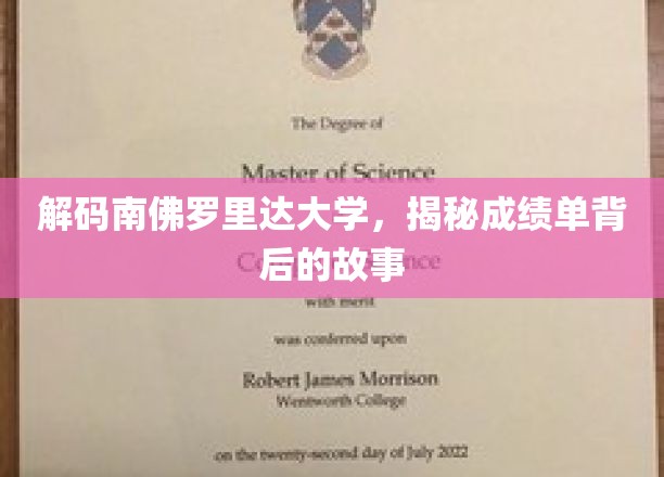 解码南佛罗里达大学，揭秘成绩单背后的故事