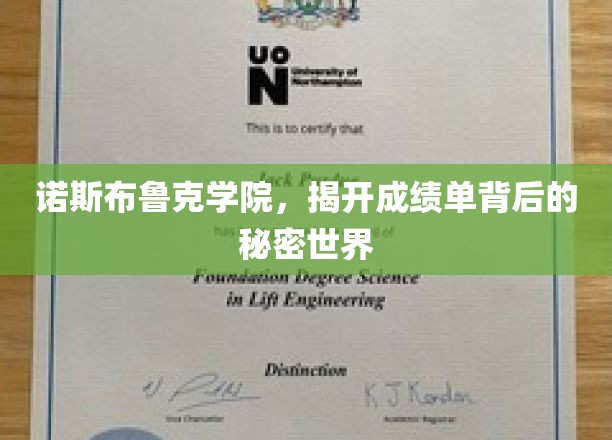 诺斯布鲁克学院，揭秘成绩单背后的神秘世界