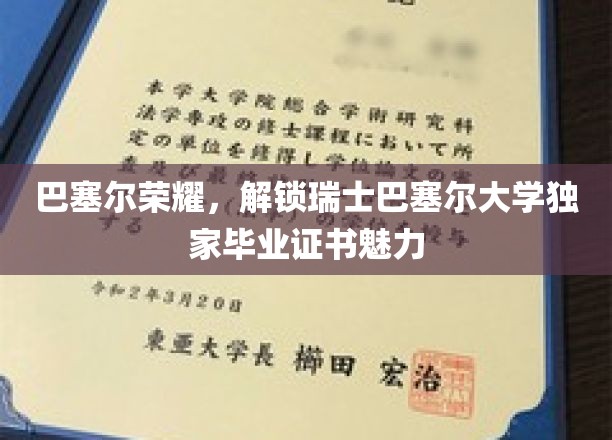 探索瑞士巴塞尔大学毕业证书的巴塞尔之光，荣耀凭证背后的独特魅力