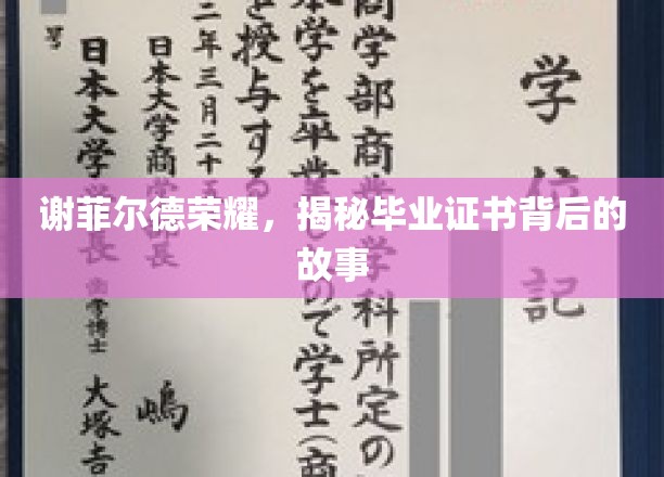 谢菲尔德荣耀，揭秘毕业证书背后的故事