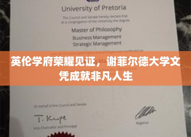 荣耀加冕，谢菲尔德大学文凭助力非凡人生启航