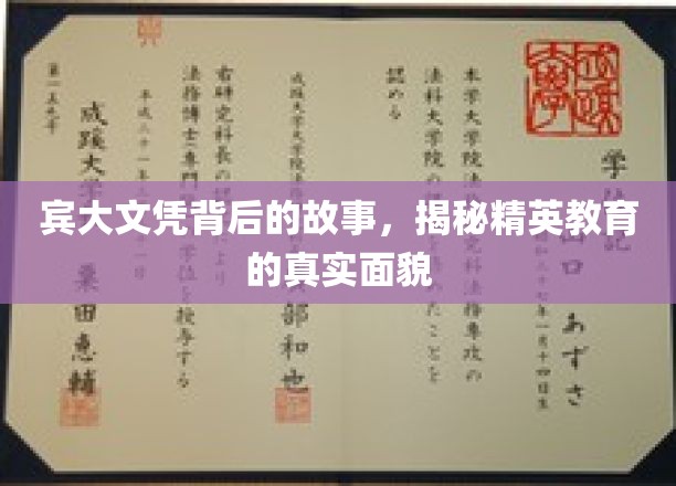 宾大光环下的秘密，一探究竟精英教育的真实图景