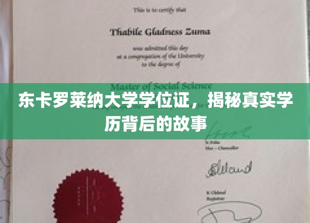 东卡罗莱纳大学学位证书，揭秘真实学历背后的故事