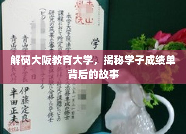 探寻大阪教育大学学子成绩单背后的成长轨迹