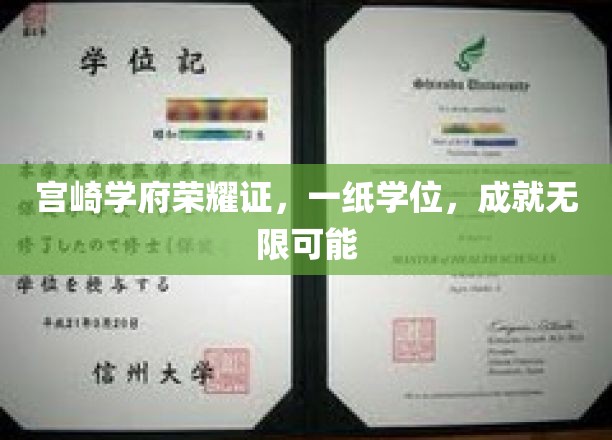 学位荣耀映宫崎，开启无限未来之门