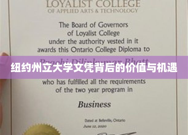 解锁纽约州立大学文凭的潜在价值与无限未来