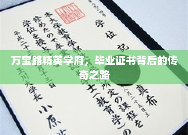 万宝路精英学府，毕业证书背后的璀璨传奇征程