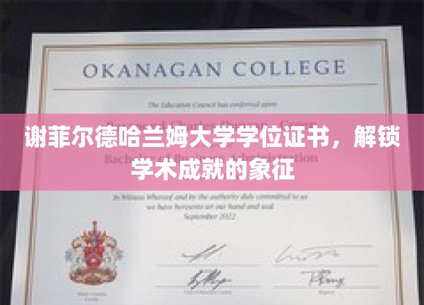 学术荣耀之门，谢菲尔德哈兰姆大学学位证书，成就的璀璨印记
