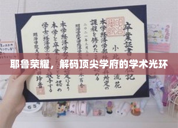 耶鲁之光，探寻顶尖学府背后的学术魅力