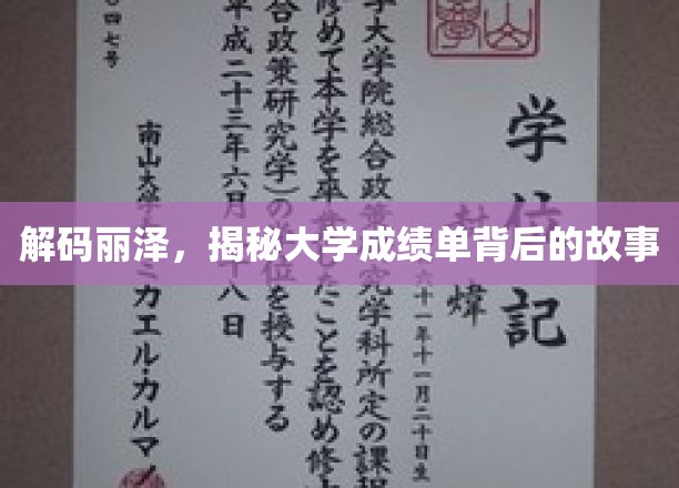 解码丽泽，揭秘大学成绩单背后的故事