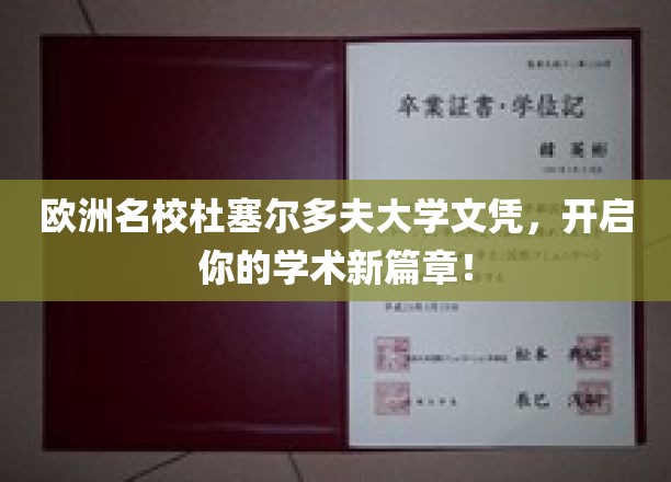 欧洲精英学府杜塞尔多夫大学文凭，助你学术巅峰再攀新高！