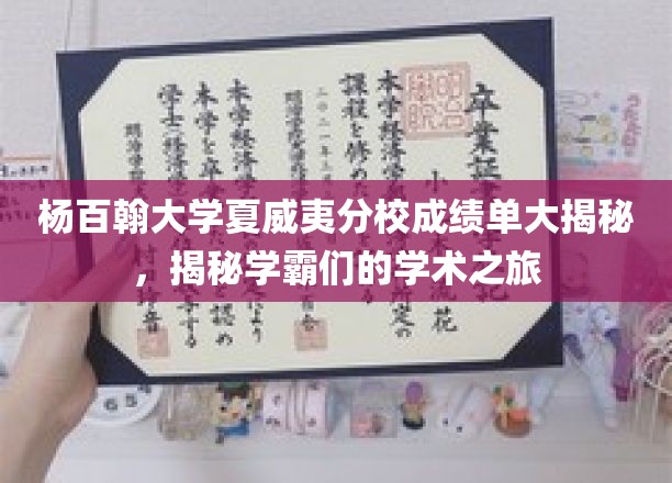 杨百翰大学夏威夷分校学霸档案，揭秘学术精英的卓越之路