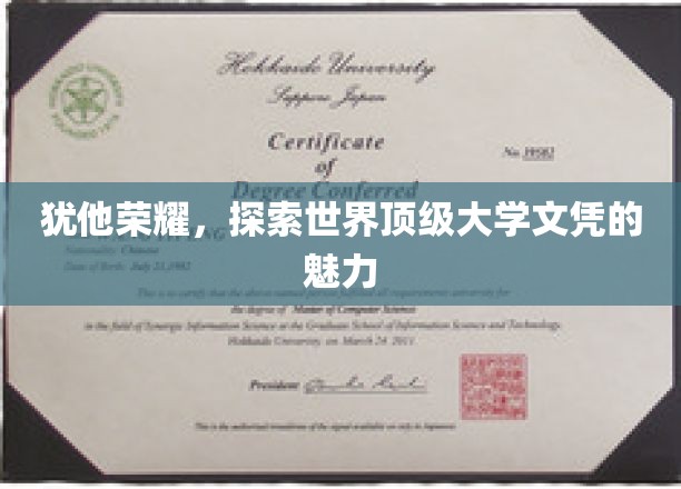 犹他荣耀，探索世界顶级大学文凭的魅力
