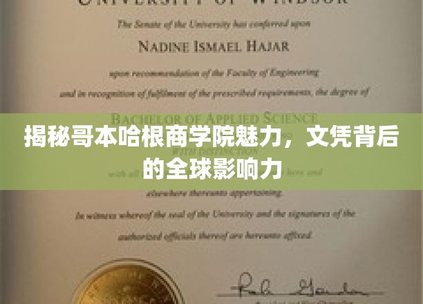 解码哥本哈根商学院，文凭之光闪耀全球影响力之谜