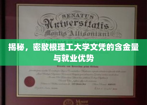 解码密歇根理工大学，学位价值与职场胜算一探究竟