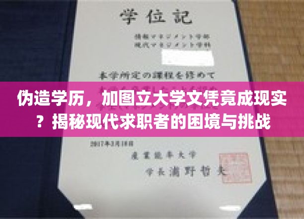 伪造学历，加图立大学文凭竟成现实？揭秘现代求职者的困境与挑战