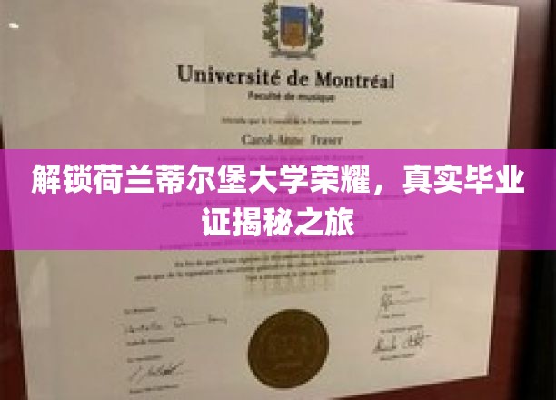 荷兰蒂尔堡大学成就揭晓，揭秘真实毕业证背后的传奇历程