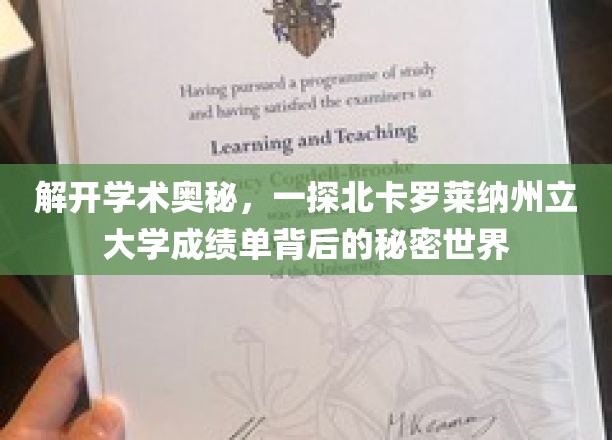 探寻北卡罗莱纳大学成绩单，解锁学术成就的隐藏故事