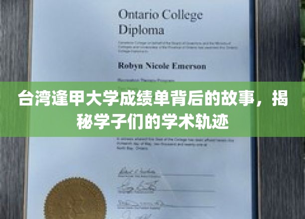 揭开逢甲大学成绩单的幕后，学子们的成长足迹揭秘