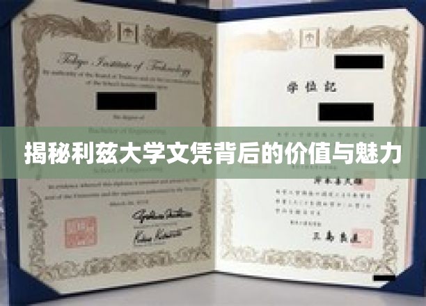 揭秘利兹大学文凭背后的价值与魅力