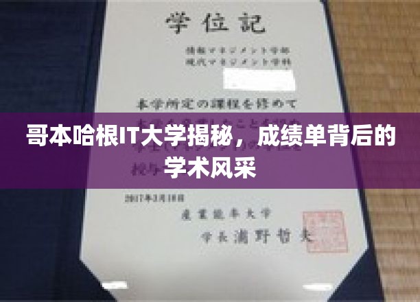 哥本哈根IT大学，揭开卓越成绩背后的学术魅力面纱