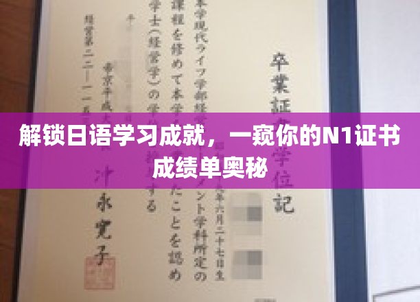 日语达人揭秘，N1证书背后的神秘成绩单解析
